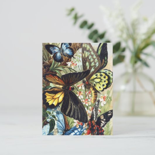 Briefkaart  sectie illustratie (Staand voorkant)