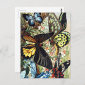 Briefkaart  sectie illustratie (Voorkant / Achterkant)