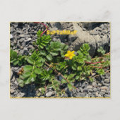 Briefkaart SEPTEMBER (Voorkant)