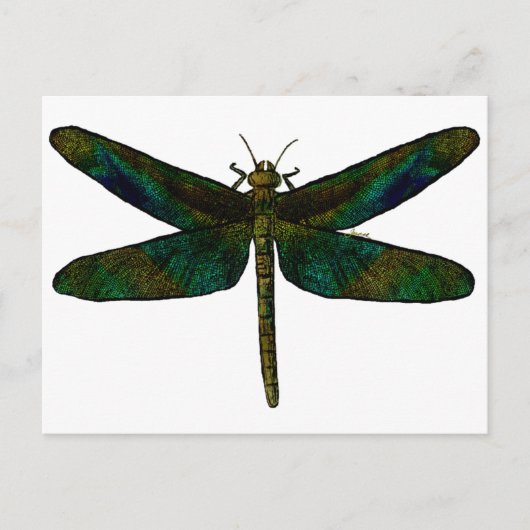 Briefkaart September Wing (Voorkant)