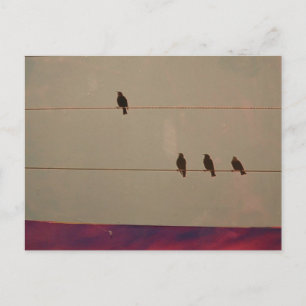 Briefkaart Serenity-reeks