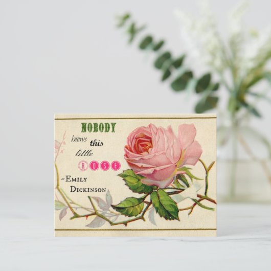  Briefkaart Shabby Pink Rose (Staand voorkant)