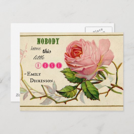  Briefkaart Shabby Pink Rose (Voorkant / Achterkant)