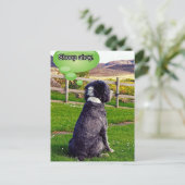 Briefkaart Sheep Ahoy (Staand voorkant)