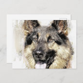 Briefkaart Shepherd Dog (Voorkant / Achterkant)