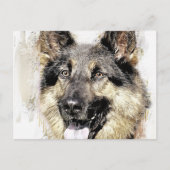 Briefkaart Shepherd Dog (Voorkant)