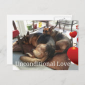 Briefkaart Shepherd Dog (Voorkant / Achterkant)