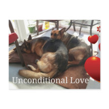 Briefkaart Shepherd Dog