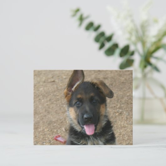 Briefkaart Shepherd Puppy (Staand voorkant)