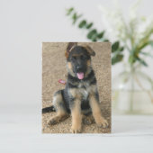 Briefkaart Shepherd Puppy (Staand voorkant)