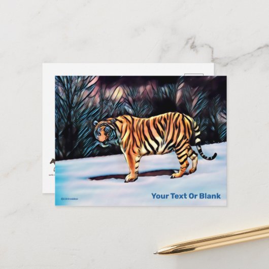 Briefkaart Siberian Tiger (Voorkant / Achterkant in situ)