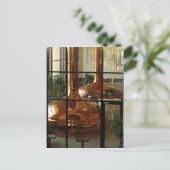 BRIEFKAART ~ Sierra Nevada Brewing Co. (Staand voorkant)