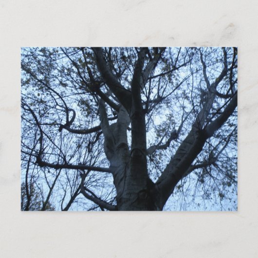 Briefkaart Silhouette-foto (Voorkant)