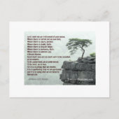 Briefkaart Sint-Francis (Voorkant)