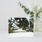 Briefkaart Sitting Cyclist (Staand voorkant)