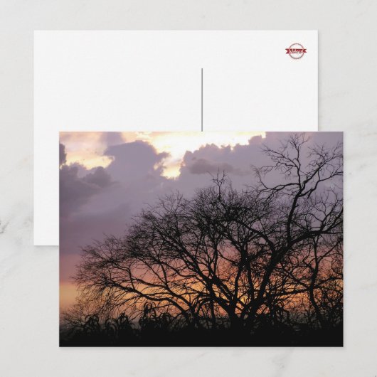 Briefkaart Skyscape Branches (Voorkant / Achterkant)