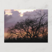 Briefkaart Skyscape Branches (Voorkant)