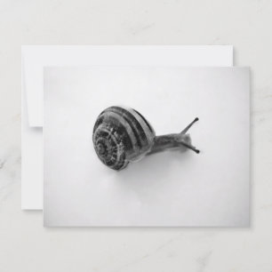 Briefkaart slak