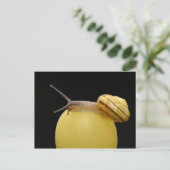 Briefkaart slak (Staand voorkant)