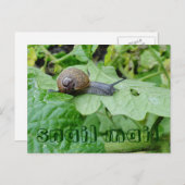 Briefkaart slak-mail (Voorkant / Achterkant)
