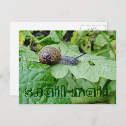 Briefkaart slak-mail (Voorkant / Achterkant)