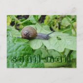 Briefkaart slak-mail (Voorkant)
