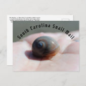 Briefkaart slak-mail (Voorkant / Achterkant)