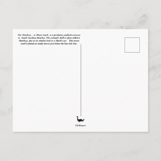 Briefkaart slak-mail (Achterkant)