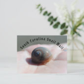 Briefkaart slak-mail (Staand voorkant)