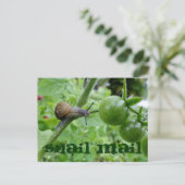 Briefkaart slak-mail (Staand voorkant)