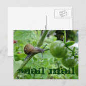 Briefkaart slak-mail (Voorkant / Achterkant)