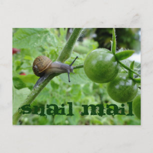 Briefkaart slak-mail