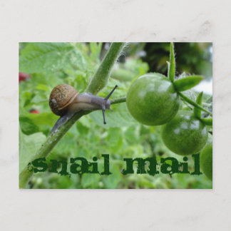 Briefkaart slak-mail