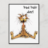 Briefkaart - Slechte haardag! (Voorkant)