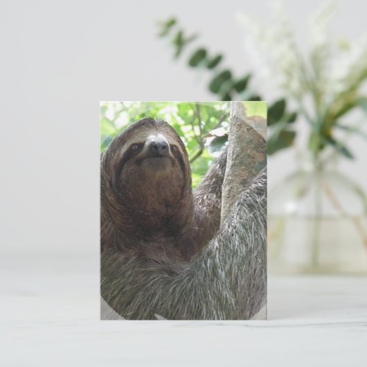 Briefkaart Sleuf fotoontwerp (Staand voorkant)