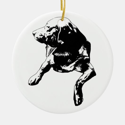 Briefkaart-sleuf Hallo, Lab Aandenken Keramisch Ornament (Voorkant)