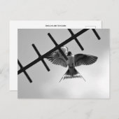 Briefkaart slikken en slepen (Voorkant / Achterkant)