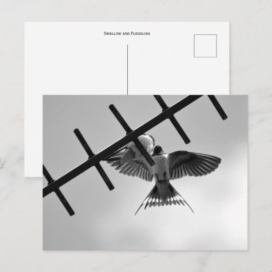 Briefkaart slikken en slepen (Voorkant / Achterkant)