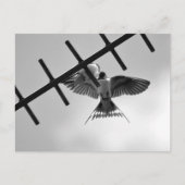 Briefkaart slikken en slepen (Voorkant)