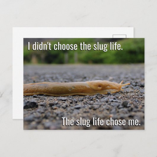 Briefkaart Slug Life (Voorkant / Achterkant)
