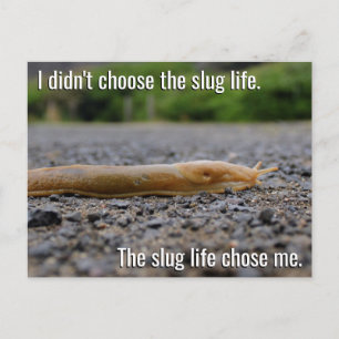 Briefkaart Slug Life