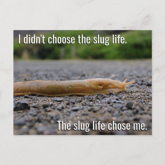 Briefkaart Slug Life (Voorkant)