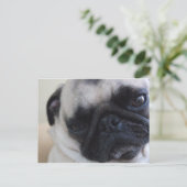 Briefkaart Sluiten (Staand voorkant)