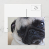 Briefkaart Sluiten (Voorkant / Achterkant)