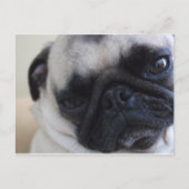 Briefkaart Sluiten (Voorkant)