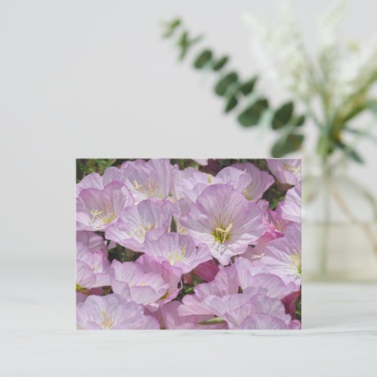 Briefkaart - Sluiting van Primrose (Staand voorkant)