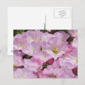 Briefkaart - Sluiting van Primrose (Voorkant / Achterkant)