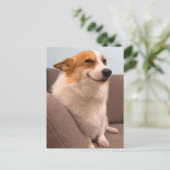 Briefkaart Smiling Corgi Meme (Staand voorkant)