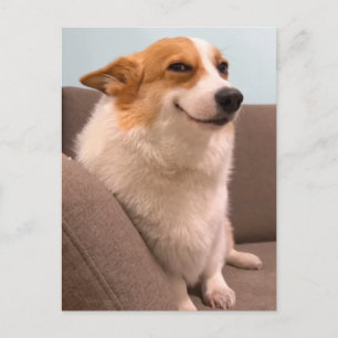 Briefkaart Smiling Corgi Meme