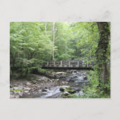 Briefkaart Smokey Mountain Creek (Voorkant)